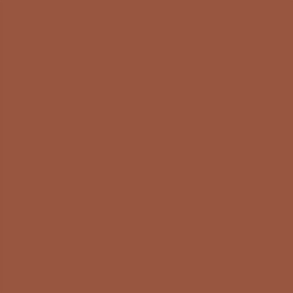 DecoArt Red Spice 2oz Americana Acrylic