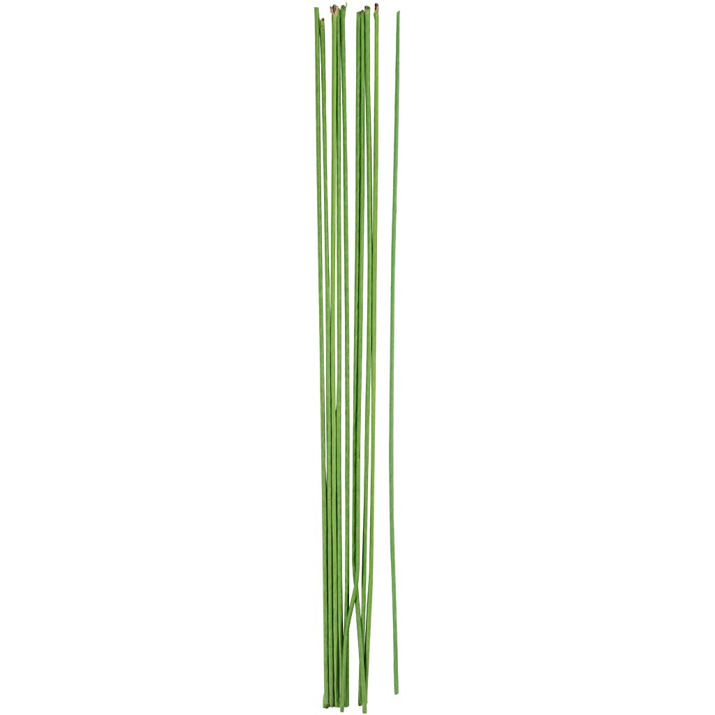 Floral stem wire, L: 30 cm, dia. 2 mm, green, 20 pc/ 1 pack