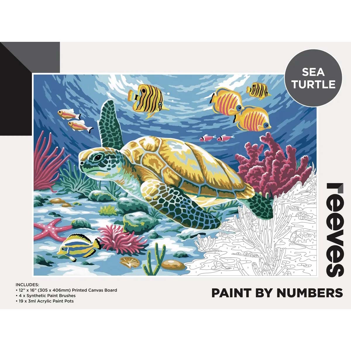 Reeves Paint by Numbers 12x16 inch