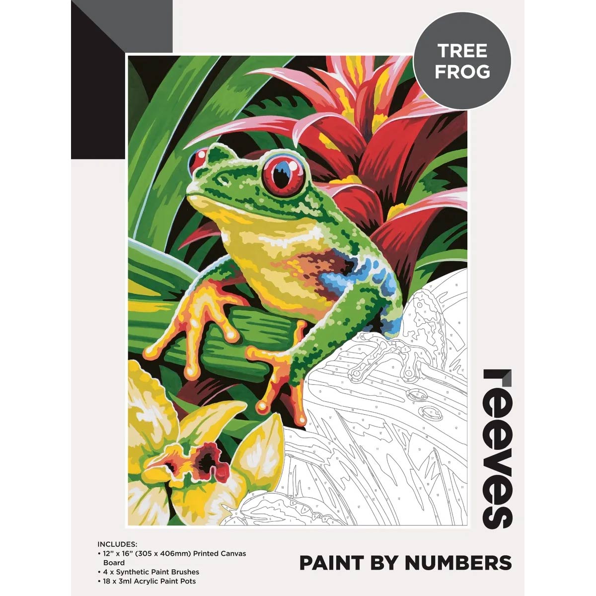 Reeves Paint by Numbers 12x16 inch