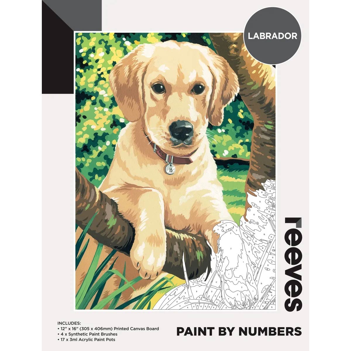 Reeves Paint by Numbers 12x16 inch