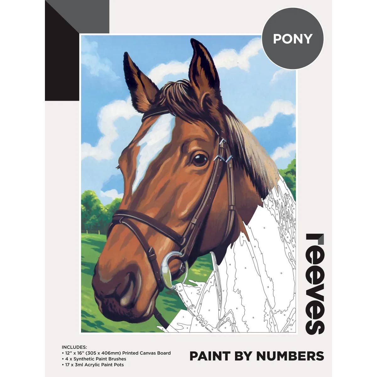 Reeves Paint by Numbers 12x16 inch