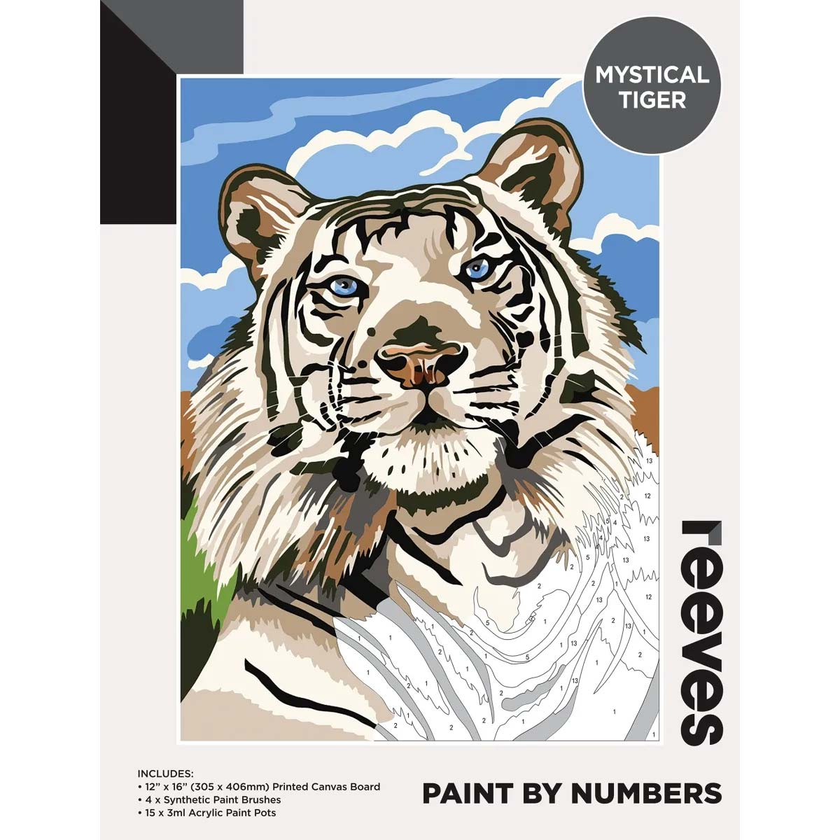 Reeves Paint by Numbers 12x16 inch