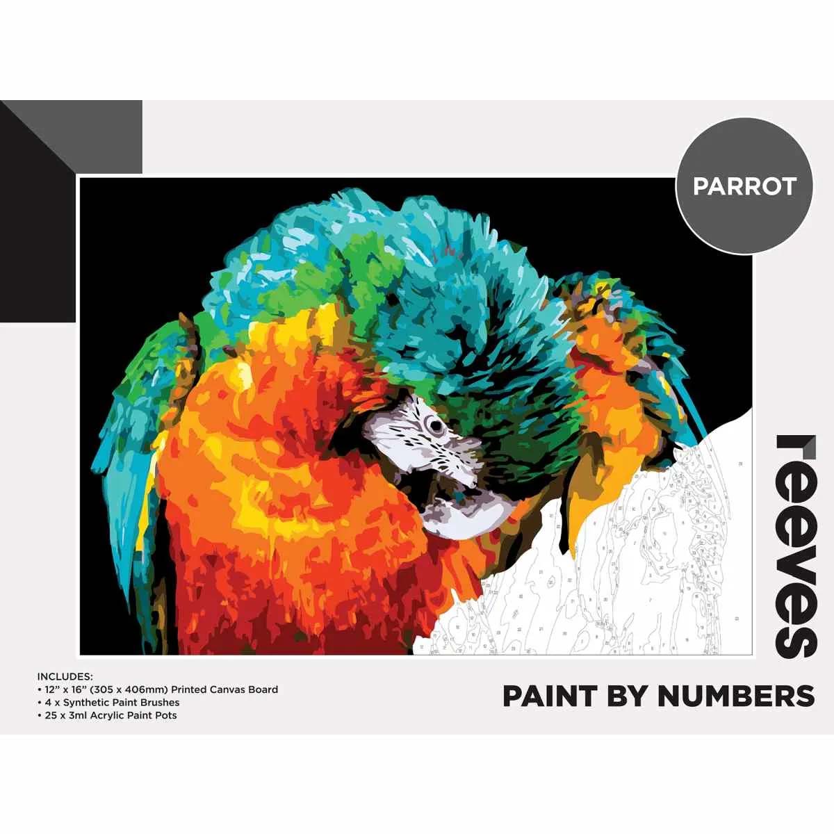 Reeves Paint by Numbers 12x16 inch
