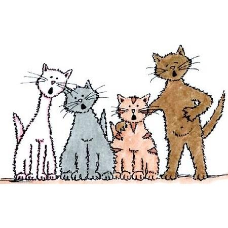 LM Cat's Choir