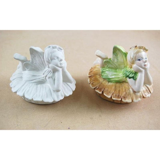 Dreaming Fairy Box Quantity 12