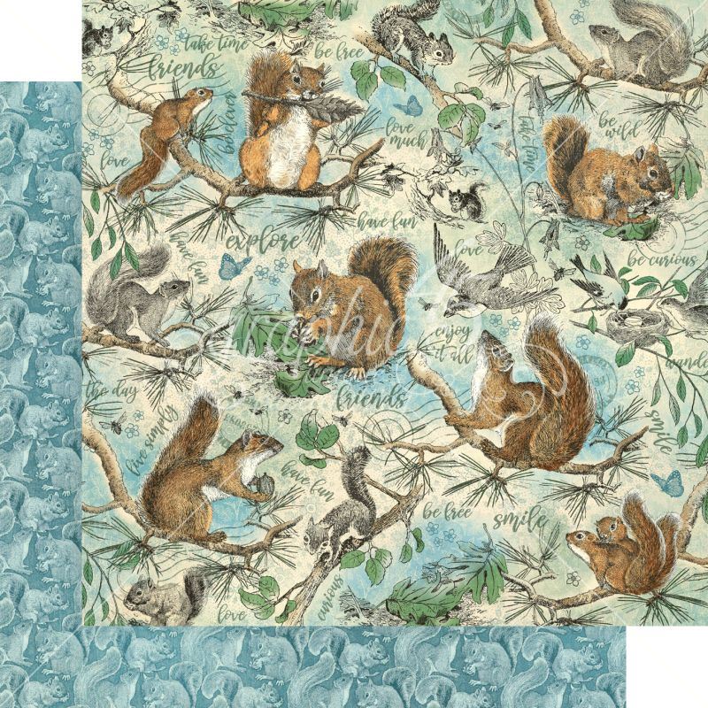 Be Curious 12x12 Paper Sold in Packs of 5 Sheets