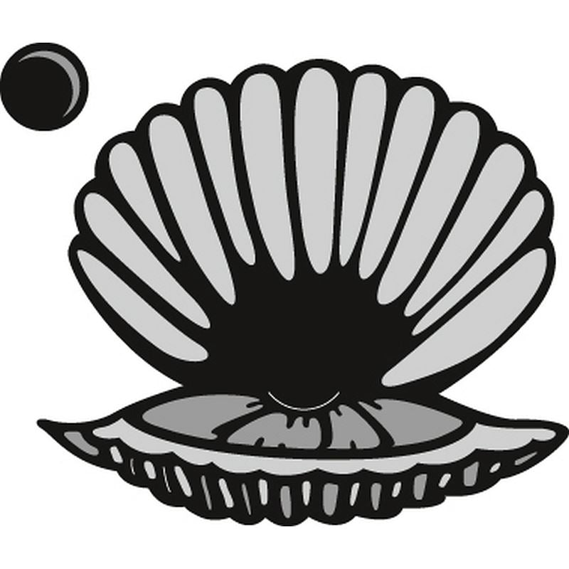 Scallop