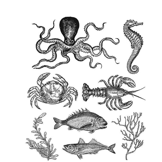 Tim Holtz - Sea Life- Stamp