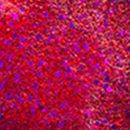 DecoArt Red Nebula Galaxy Glitter