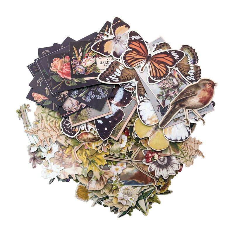 Tim Holtz Idea-ology Layers, Botanical