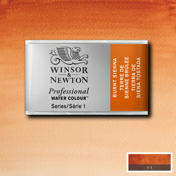 Winsor and Newton Professional Watercolour - Whole Pan