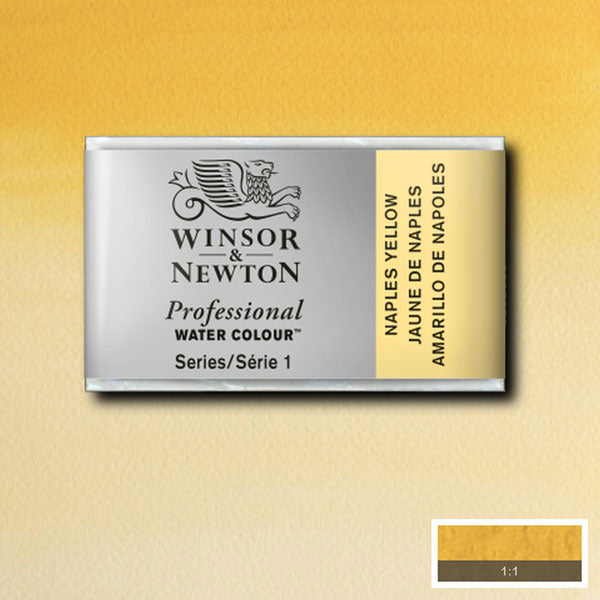 Winsor and Newton Professional Watercolour - Whole Pan