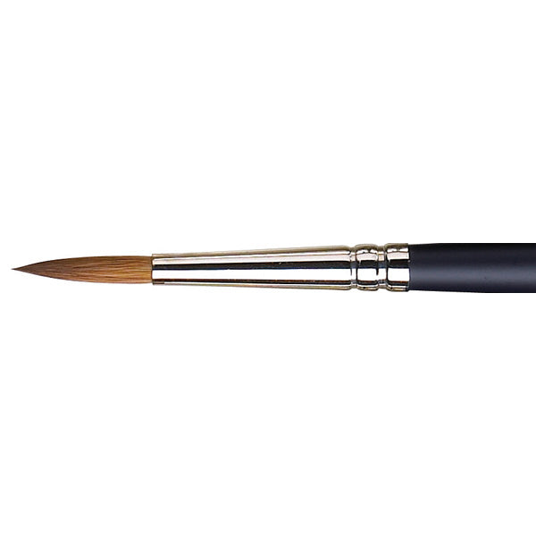 Winsor and Newton Watercolour Brush Sable