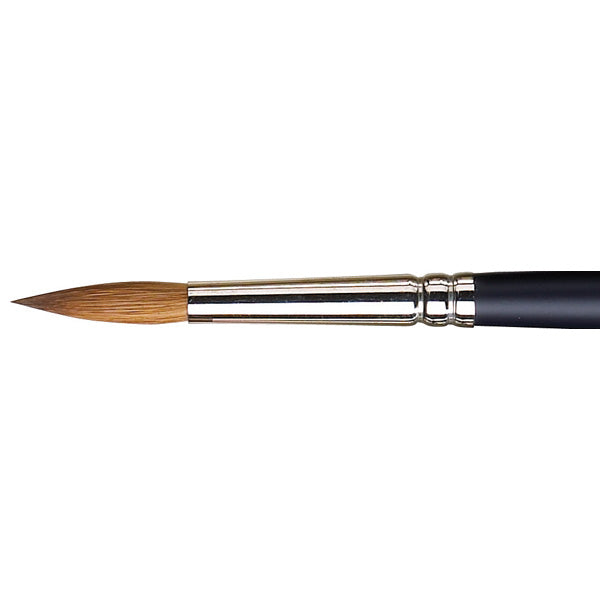 Winsor and Newton Watercolour Brush Sable