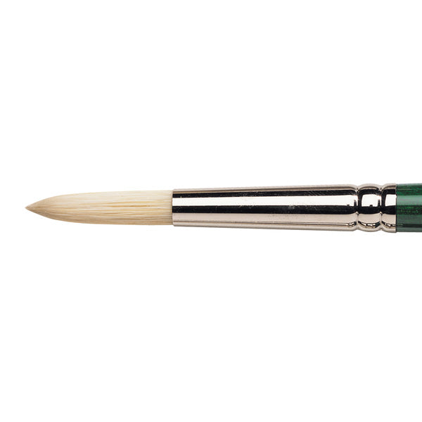 Winsor & Newton Galeria Hog Brush-Fan