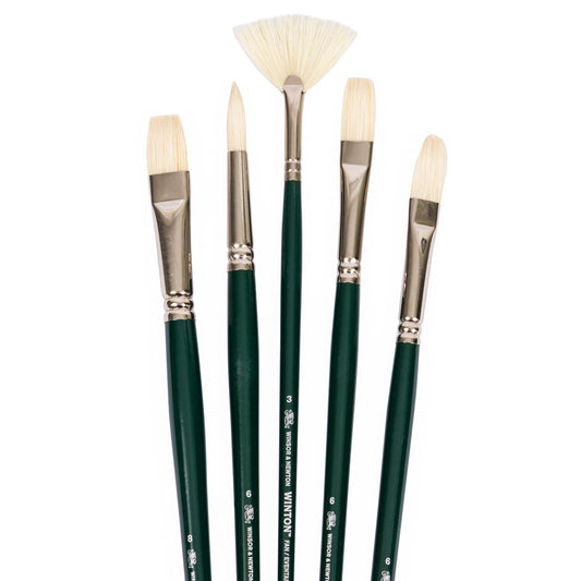 Winsor & Newton Winton L/H 5 Brush Set