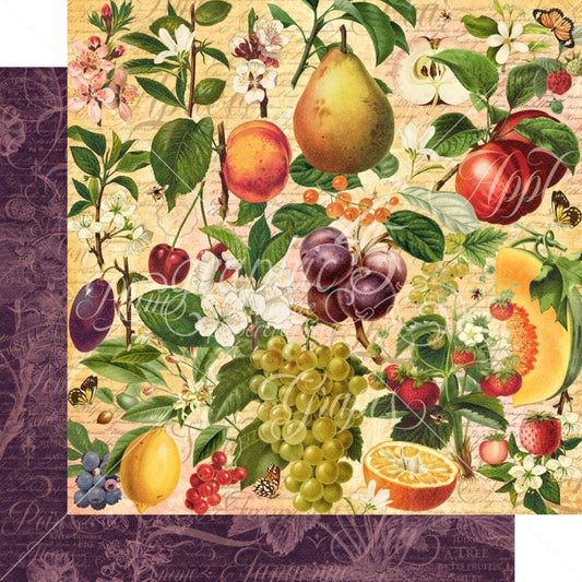 Nature's Bounty 12x12 Paper Sold in Packs of 5 Sheets