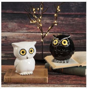 Large Hoot (owl) money box Box of 4