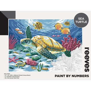 Reeves Paint by Numbers 12x16 inch