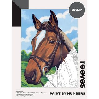 Reeves Paint by Numbers 12x16 inch