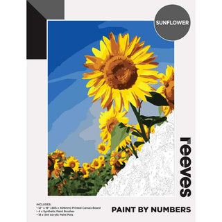 Reeves Paint by Numbers 12x16 inch
