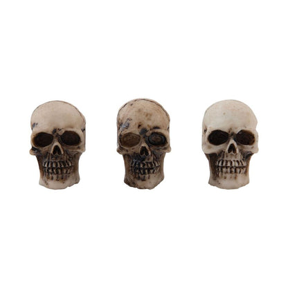 Tim Holtz Skulls & Bones Halloween