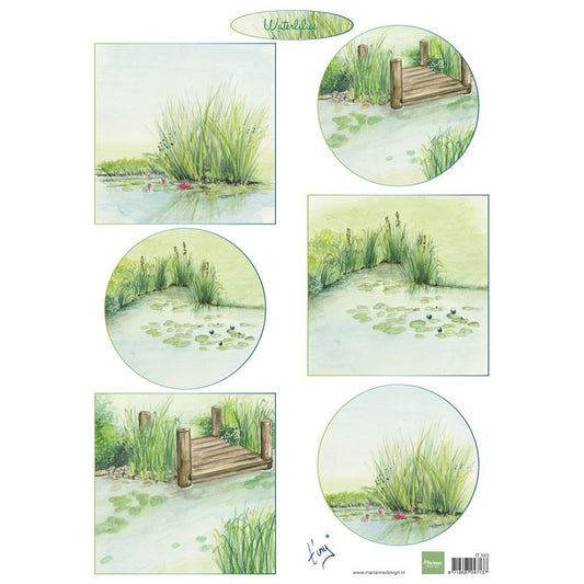 Tiny's Waterlilies Sold in Packs of 10's
