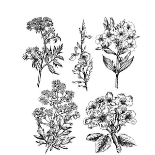 Tim Holtz - Illustrated Garden- Stamp