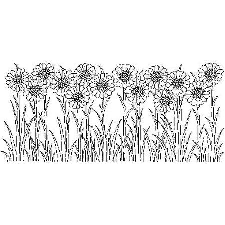 Daisy Border