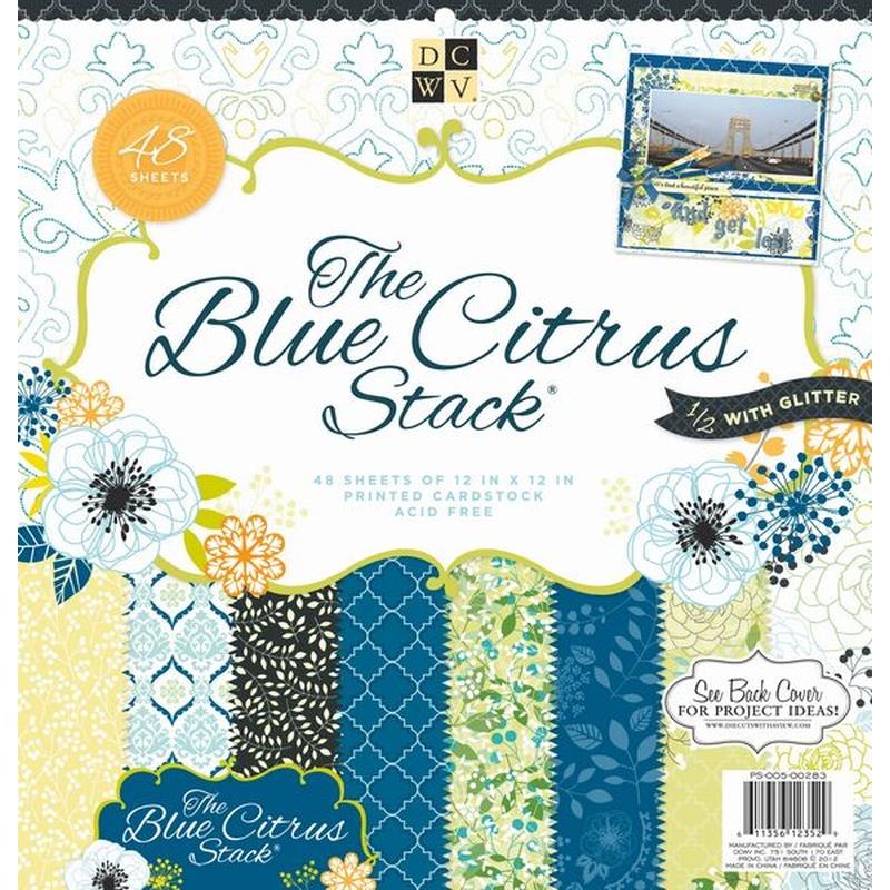 Blue Citrus Hanging Stack 12X12