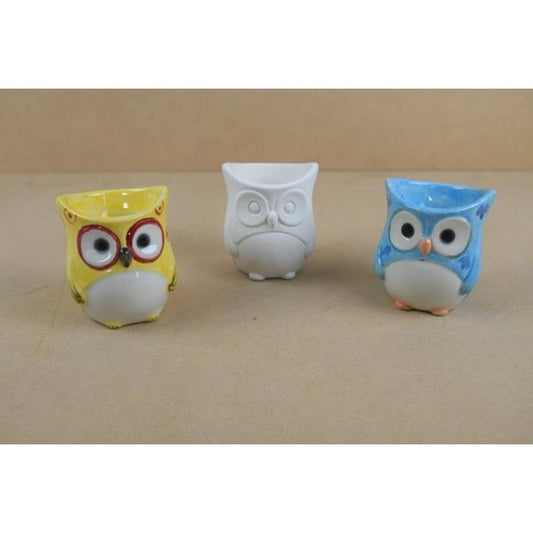 Owl Egg Cup Box Quantity 12