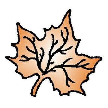 LB Maple Leaf