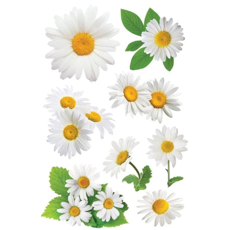 Daisies - Sticker - puffy