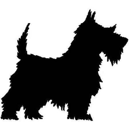 LM Scottie Silhouette