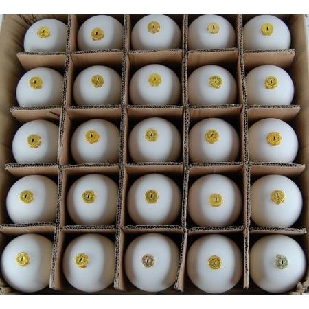 Xmas Tree Bauble - Large Ball Box Quantity 25
