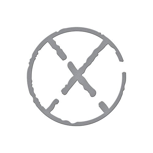 Fragment X