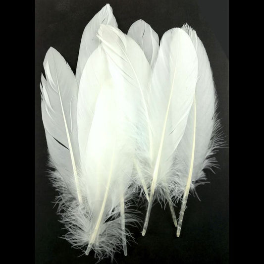 Gelli Arts Pack of 10 White Feathers