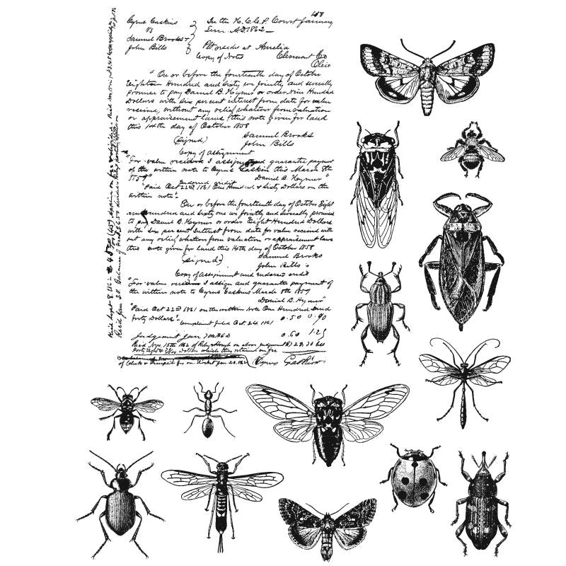 ENTOMOLOGY