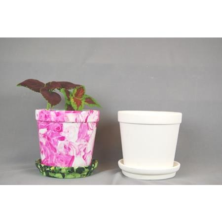 Flower Pot & Saucer Box Quantity 6