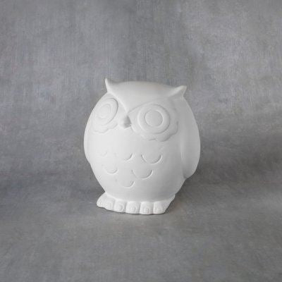 Large Hoot (owl) money box Box of 4