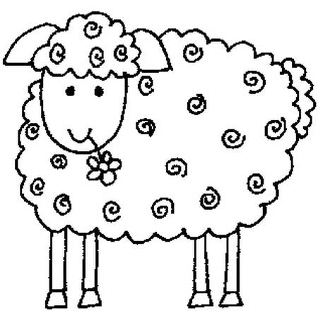 LM Curly Sheep