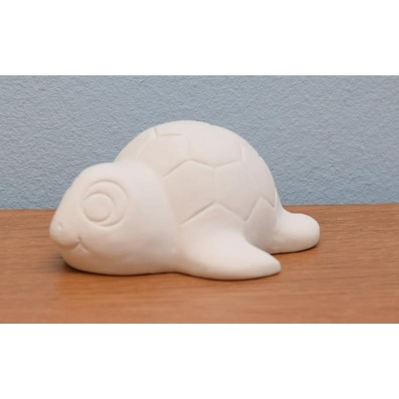 GMS Cute Turtle Box Quantity 12