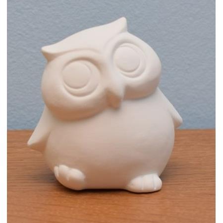 GMS Cute Owl Box Quantity 12