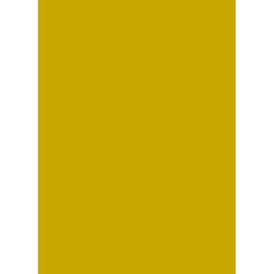 Gold A4 (240 gsm) (25)