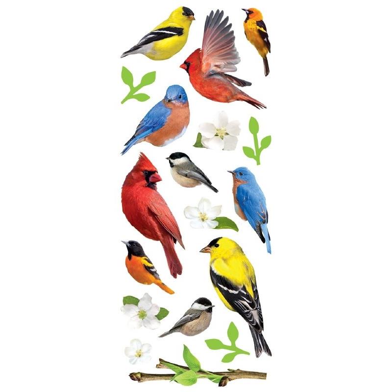 Backyard Birds - Sticker - 3d