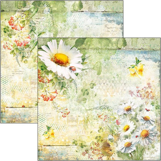 12"x12" Sheets x12 Daisies