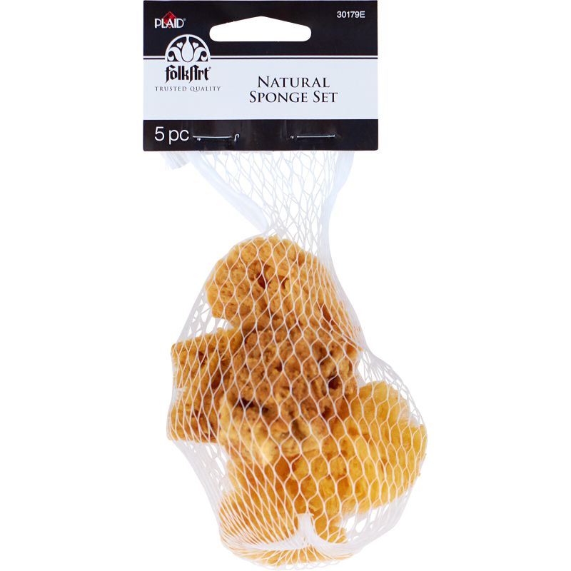 Sponge Value Pack 5 Piece