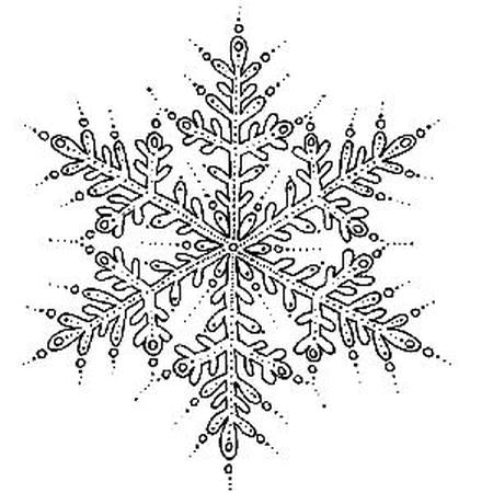 SD Large Snowflake