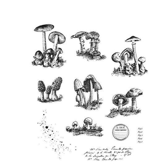 TINY TOADSTOOLS Cling Stamps